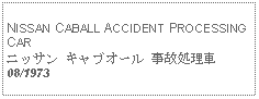 Text Box:   NISSAN CABALL ACCIDENT PROCESSING CARニッサン キャブオール 事故処理車08/1973