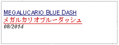 Text Box: MEGALUCARIO BLUE DASHメガルカリオブルーダッシュ08/2014