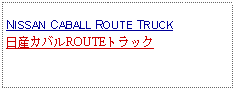 Text Box:            NISSAN CABALL ROUTE TRUCK日産カバルROUTEトラック