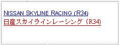 Text Box: NISSAN SKYLINE RACING (R34)日産スカイラインレーシング (R34)