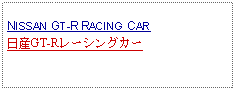 Text Box: NISSAN GT-R RACING CAR日産GT-Rレーシングカー