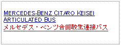 Text Box: MERCEDES-BENZ CITARO KEISEI ARTICULATED BUS メルセデス・ベンツ合田敬生連接バス