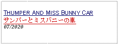 Text Box: THUMPER AND MISS BUNNY CARサンパーとミスバニーの車 07/2020