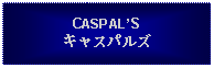 Text Box: CASPALSキャスパルズ