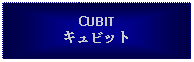 Text Box: CUBITキュビット