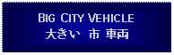 Text Box: BIG CITY VEHICLE大きい 市  車両