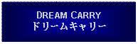 Text Box: DREAM CARRYドリームキャリー