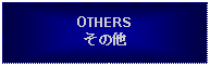 Text Box: OTHERSその他