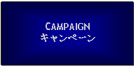 Text Box: CAMPAIGNキャンペーン