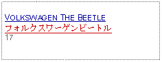 Text Box:                   VOLKSWAGEN THE BEETLEフォルクスワーゲンビートル17