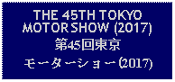 Text Box: THE 45TH TOKYOMOTOR SHOW (2017)第45回東京モーターショー(2017)