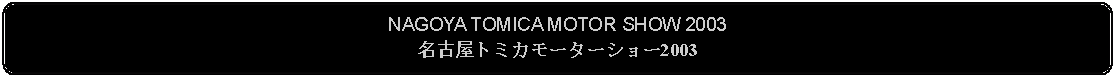 Flowchart: Alternate Process: NAGOYA TOMICA MOTOR SHOW 2003名古屋トミカモーターショー2003