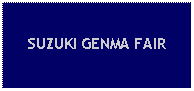 Text Box: SUZUKI GENMA FAIR