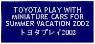 Text Box: TOYOTA PLAY WITH MINIATURE CARS FOR SUMMER VACATION 2002トヨタプレイ2002