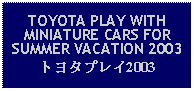 Text Box: TOYOTA PLAY WITH MINIATURE CARS FOR SUMMER VACATION 2003トヨタプレイ2003