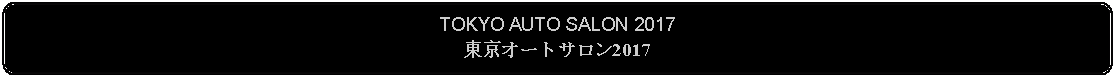 Flowchart: Alternate Process: TOKYO AUTO SALON 2017東京オートサロン2017