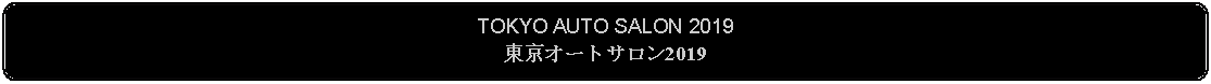 Flowchart: Alternate Process: TOKYO AUTO SALON 2019東京オートサロン2019