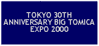 Text Box: TOKYO 30TH ANNIVERSARY BIG TOMICA EXPO 2000