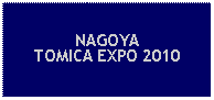 Text Box: NAGOYATOMICA EXPO 2010