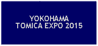 Text Box: YOKOHAMATOMICA EXPO 2015