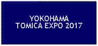 Text Box: YOKOHAMATOMICA EXPO 2017