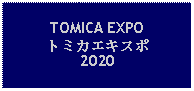 Text Box: TOMICA EXPOトミカエキスポ2020