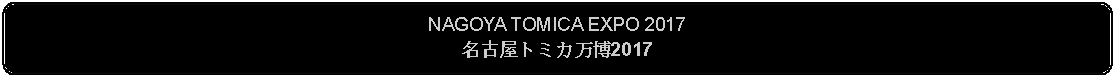 Flowchart: Alternate Process: NAGOYA TOMICA EXPO 2017名古屋トミカ万博2017