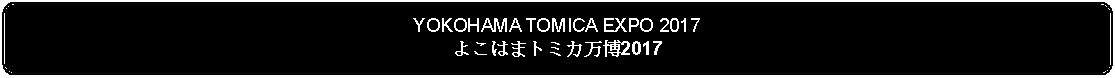 Flowchart: Alternate Process: YOKOHAMA TOMICA EXPO 2017よこはまトミカ万博2017