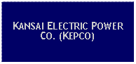 Text Box: KANSAI ELECTRIC POWER CO. (KEPCO)