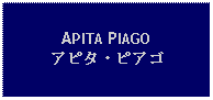 Text Box: APITA PIAGOアピタ・ピアゴ