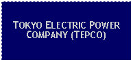 Text Box: TOKYO ELECTRIC POWER COMPANY (TEPCO)