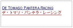 Text Box: DE TOMASO PANTERA RACINGデ・トマソ・パンテラ・レーシング