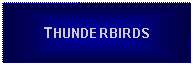 Text Box: THUNDERBIRDS