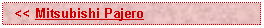 Text Box:   << Mitsubishi Pajero