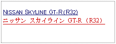 Text Box: NISSAN SKYLINE GT-R (R32)ニッサン スカイライン GT-R （R32）