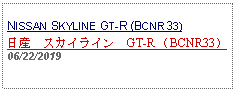 Text Box: NISSAN SKYLINE GT-R (BCNR33)日産　スカイライン　GT-R （BCNR33）06/22/2019