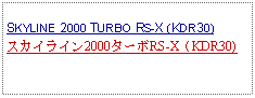 Text Box:            SKYLINE 2000 TURBO RS-X (KDR30)スカイライン2000ターボRS-X（KDR30)