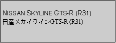 Text Box: NISSAN SKYLINE GTS-R (R31)日産スカイラインGTS-R (R31)