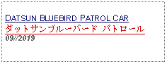 Text Box:            DATSUN BLUEBIRD PATROL CARダットサンブルーバード パトロール09//2019