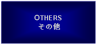 Text Box: OTHERSその他