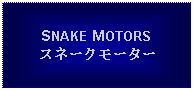 Text Box: SNAKE MOTORSスネークモーター