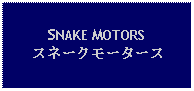 Text Box: SNAKE MOTORSスネークモータース