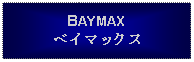 Text Box: BAYMAXベイマックス