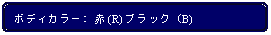 Flowchart: Alternate Process: ボディカラー: 赤 (R) ブラック (B)