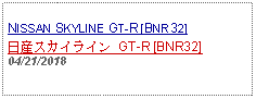 Text Box: NISSAN SKYLINE GT-R [BNR32]日産スカイライン GT-R [BNR32]04/21/2018