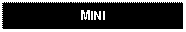 Text Box: MINI