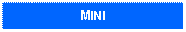 Text Box: MINI