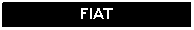 Text Box: FIAT