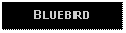 Text Box: BLUEBIRD