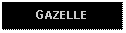 Text Box: GAZELLE